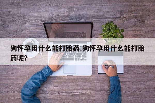 米非米索联系微信狗怀孕用什么能打胎药.狗怀孕用什么能打胎药呢？