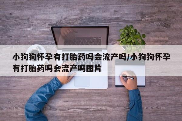 米非米索联系微信小狗狗怀孕有打胎药吗会流产吗/小狗狗怀孕有打胎药吗会流产吗图片