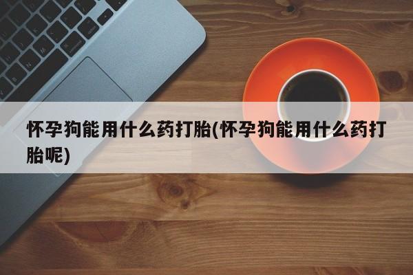 米非米索联系微信怀孕狗能用什么药打胎(怀孕狗能用什么药打胎呢)