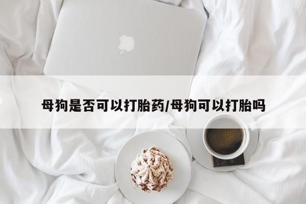 米非米索联系微信母狗是否可以打胎药/母狗可以打胎吗